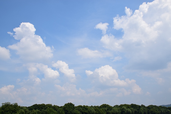 2025年我国家具行业累计出口678.10亿美元 进口15.31亿美元