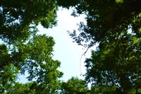 从“以塑代钢”到“智能美学”，谁在定义家电材料新标？