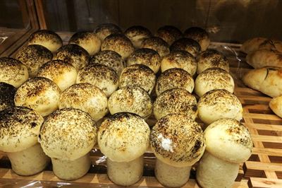 欧盟更新关于食品接触塑料的法规